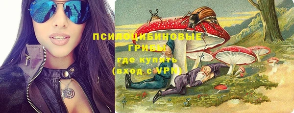 a pvp Михайлов