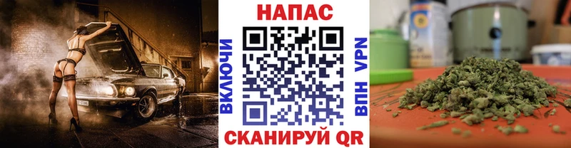 купить наркотики цена  Ярославль  Шишки марихуана White Widow 
